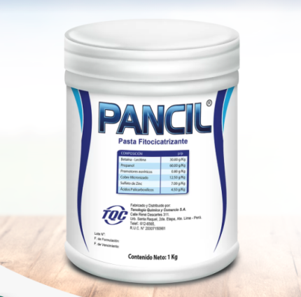 PANCIL