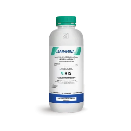 SANAMINA